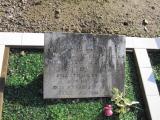 image of grave number 234216